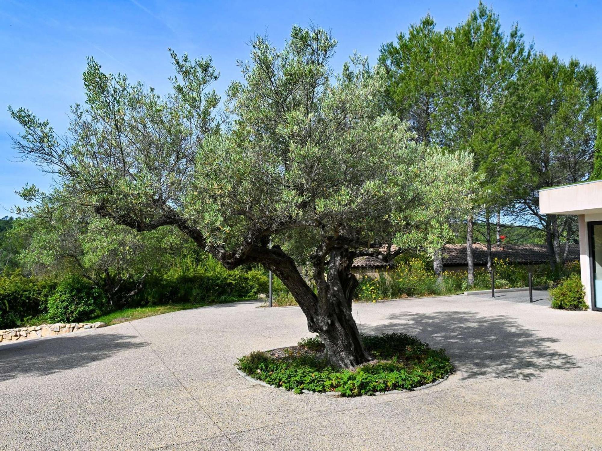 Mercure Brignoles Golf De Barbaroux & Spa מראה חיצוני תמונה